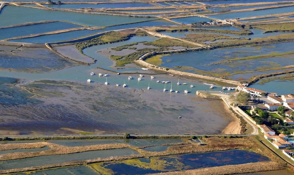 Agir pour l’environnement