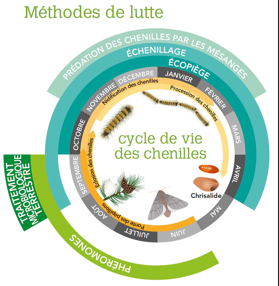 Régulation des espèces animales